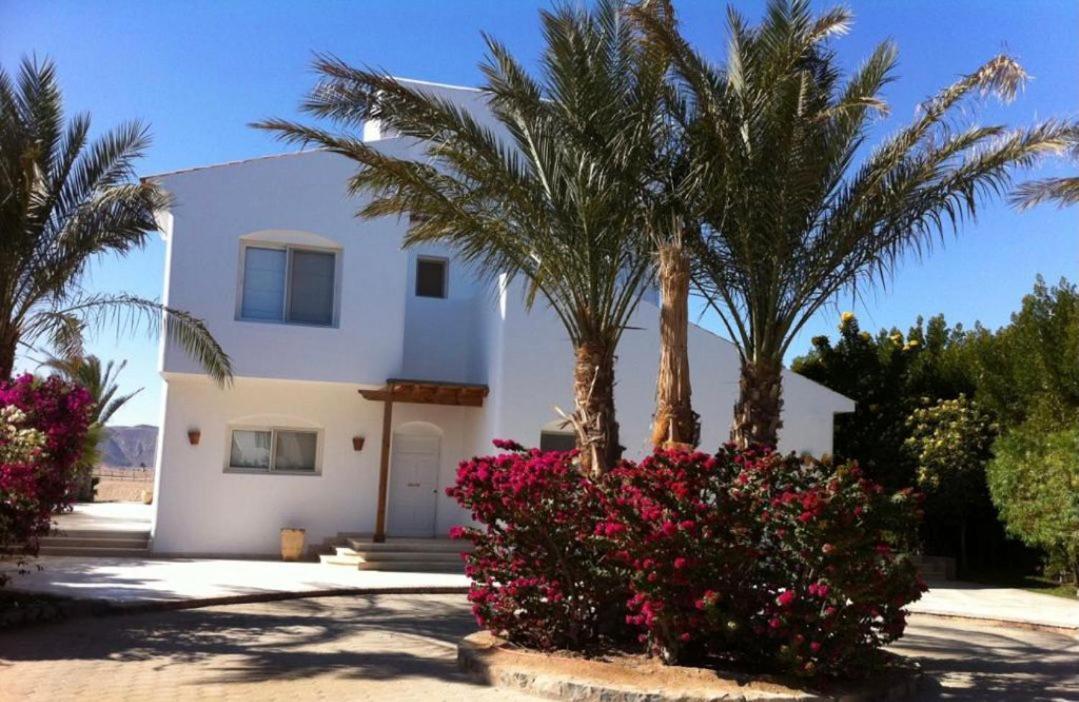 Gouna Hurghada Eksteriør bilde